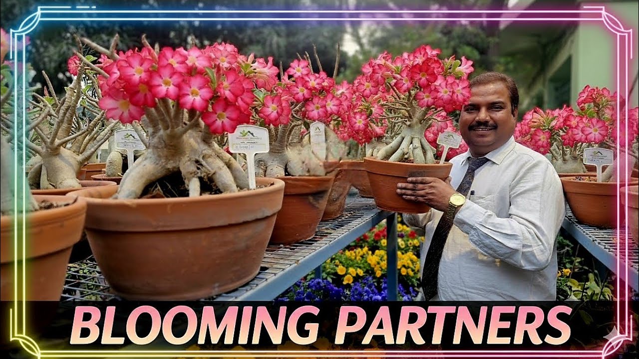BLOOMING PARTNER'S গাছের Shopping Mall 🛍