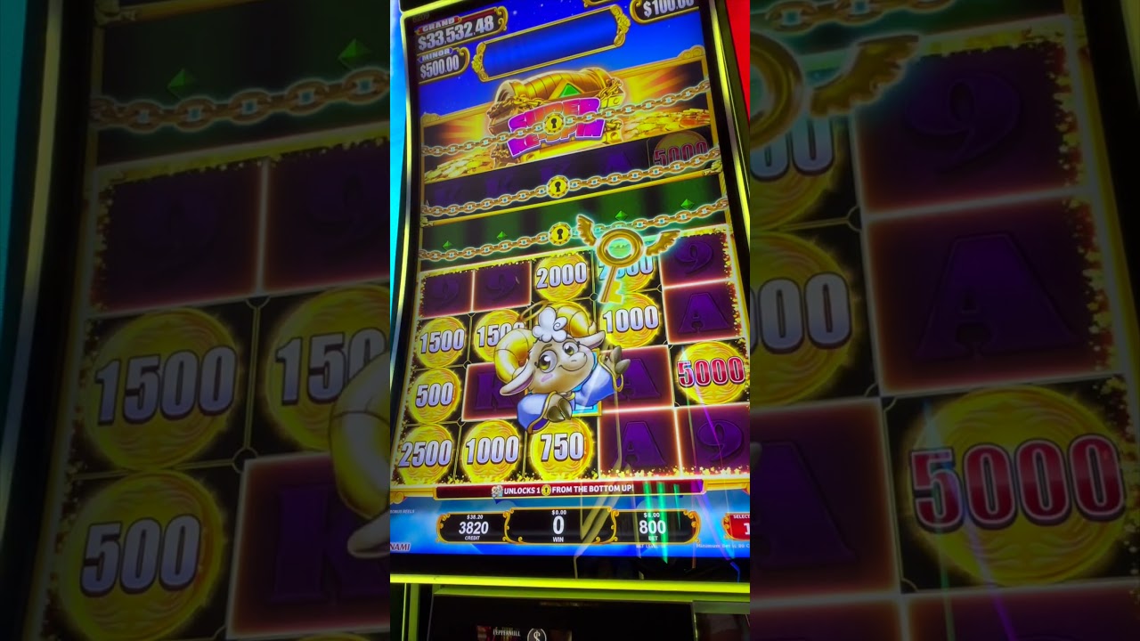 MAX Bet Bonus on the NEW Super Unwooly Riches! #slots #casino #lasvegas