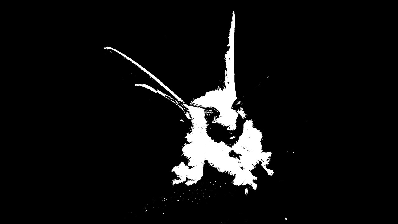 Izaya Tiji - Earth Is Hell (Slowed + Reverb)