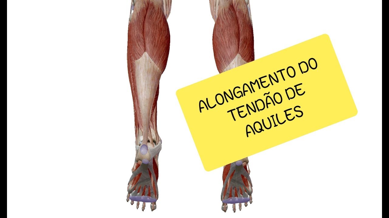ALONGAMENTO DO TENDÃO DE AQUILES