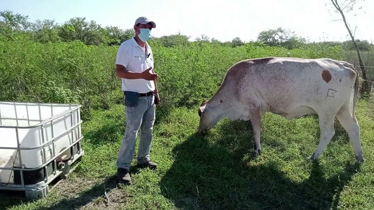 Pastoreo Rotacional Tecnificado