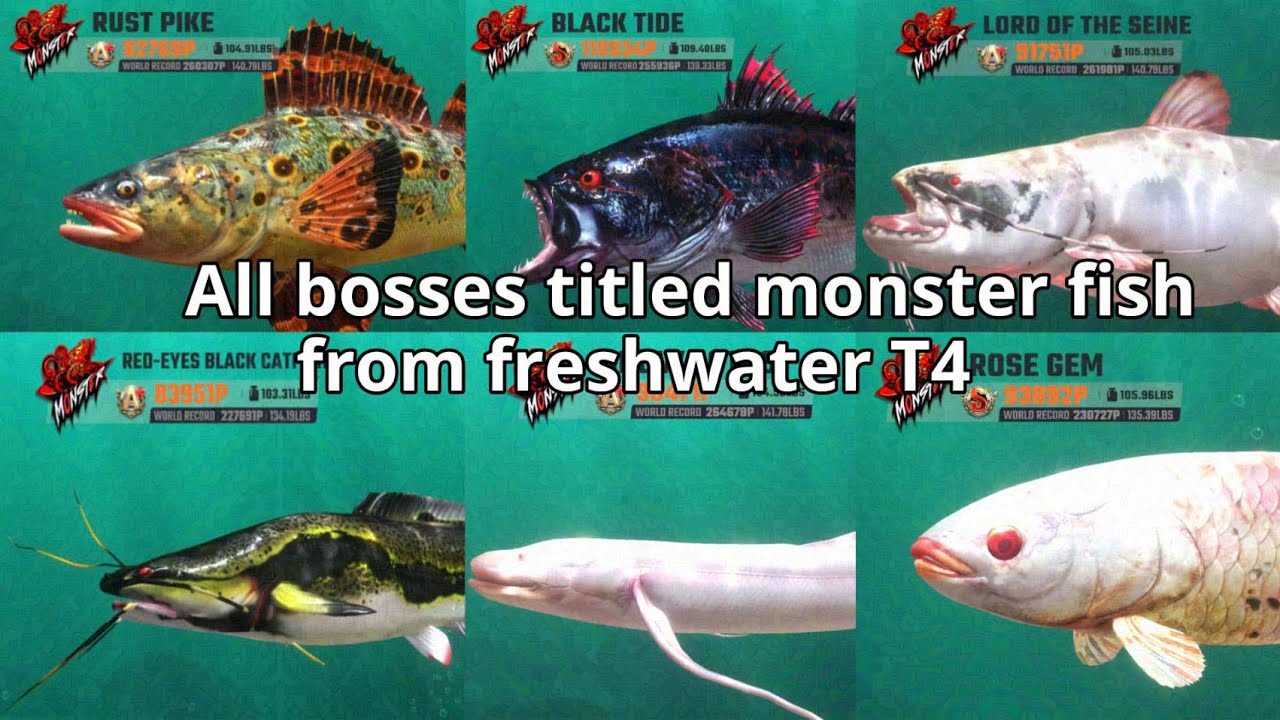Fishing Master: All bosses titled monster fish from freshwater T4