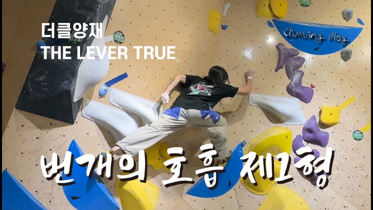 과연 내 클라이밍 레벨은?? 더클라임 양재 THE LEVEL TRUE  l 클라이밍 브이로그