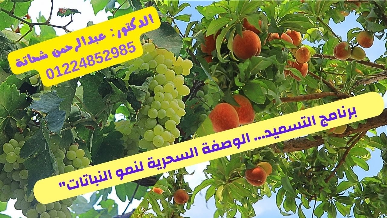 🌿حابب تعرف يعني ايه تسميد هدي كده واسمع الحلقة💪 شرح برنامج التسميد للدكتور: عبدالرحمن شحاتة