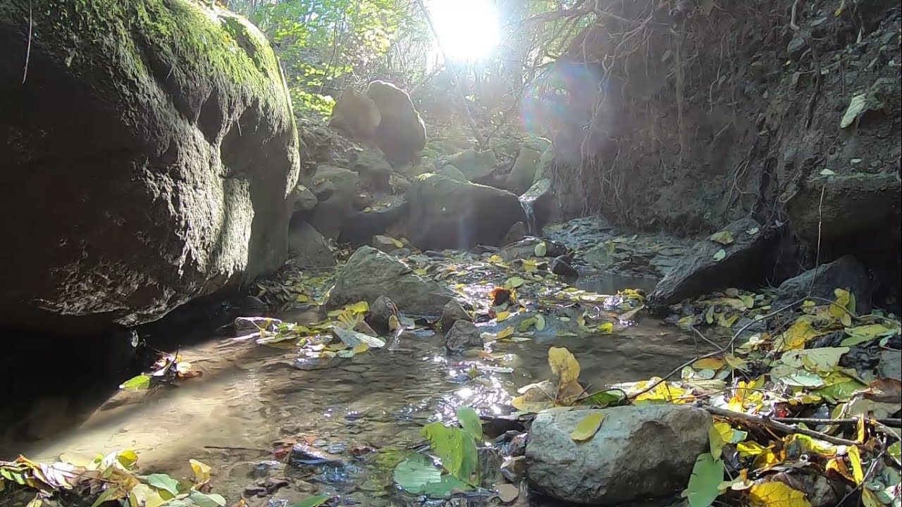 Rio Calcina (Torreglia)