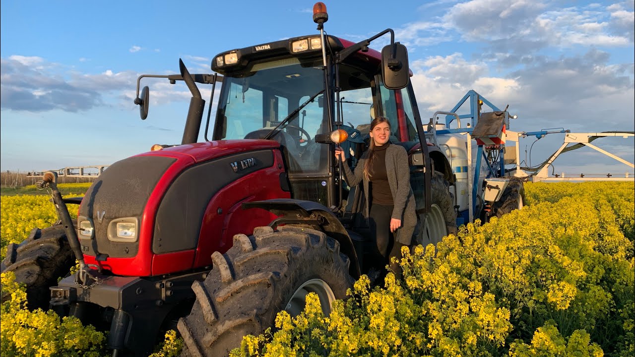 #327- Ochronić kwitnący rzepak! Najważniejszy zabieg w rzepaku- 