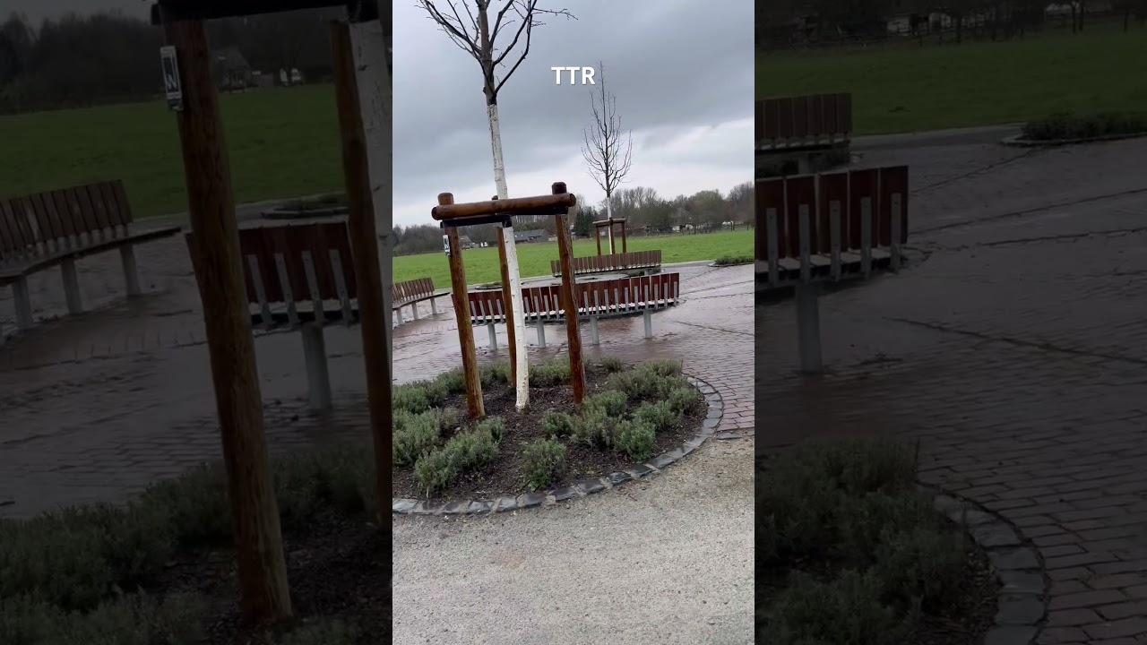 Ein ruhiger Moment im Park: Entspannung pur im Grünen 🌿 #deutschland #park #subscribe #rain