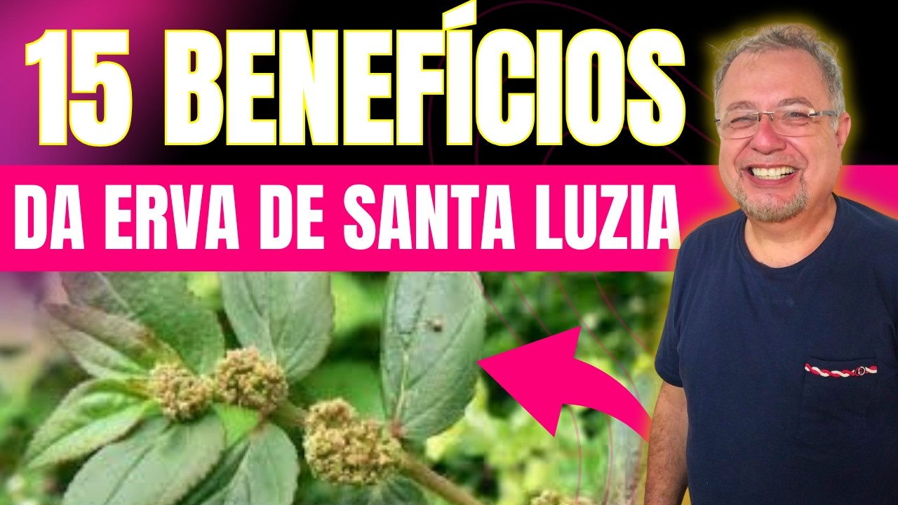 15 BENEFÍCIOS DA ERVA DE SANTA LUZIA