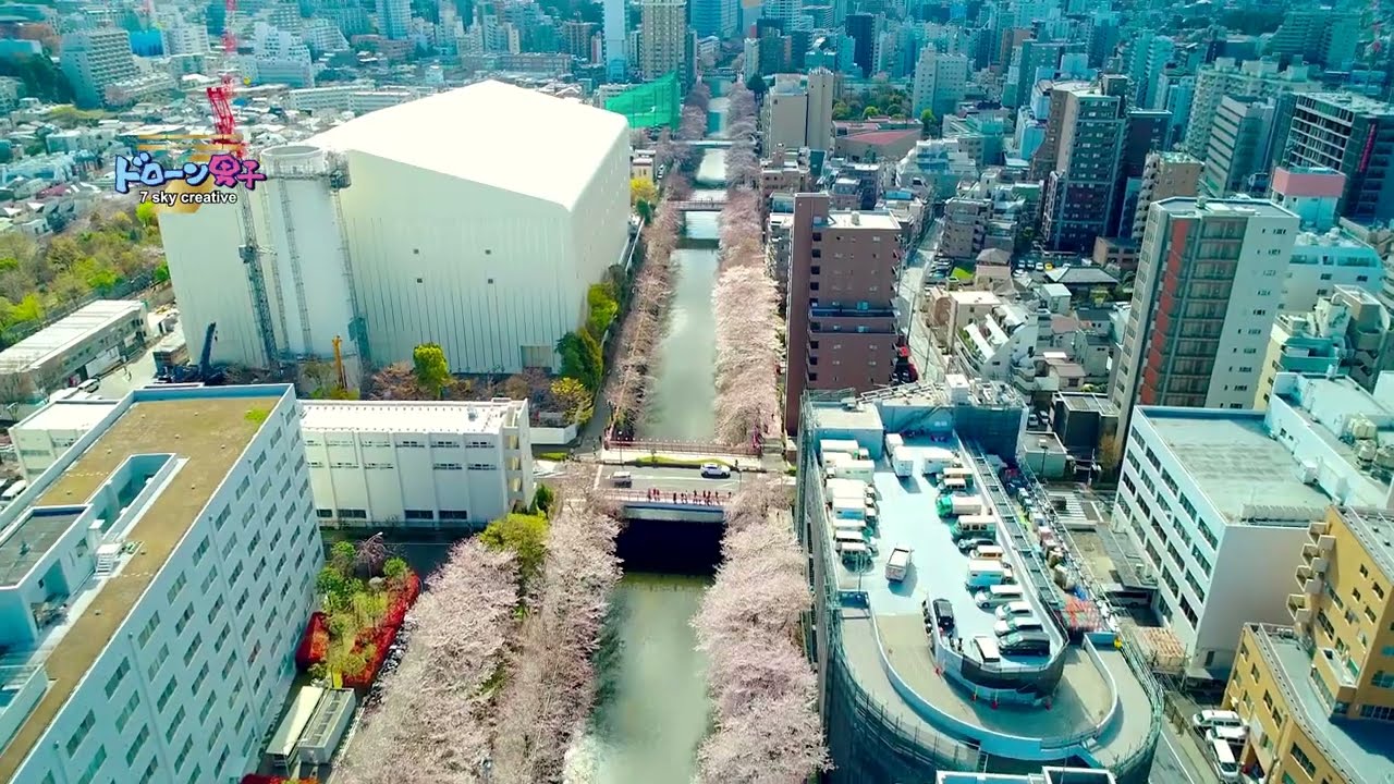 「テレビ初公開」TOKYO 目黒川の桜！！東京 ドローン男子空撮 CHERRY BLOSSOM