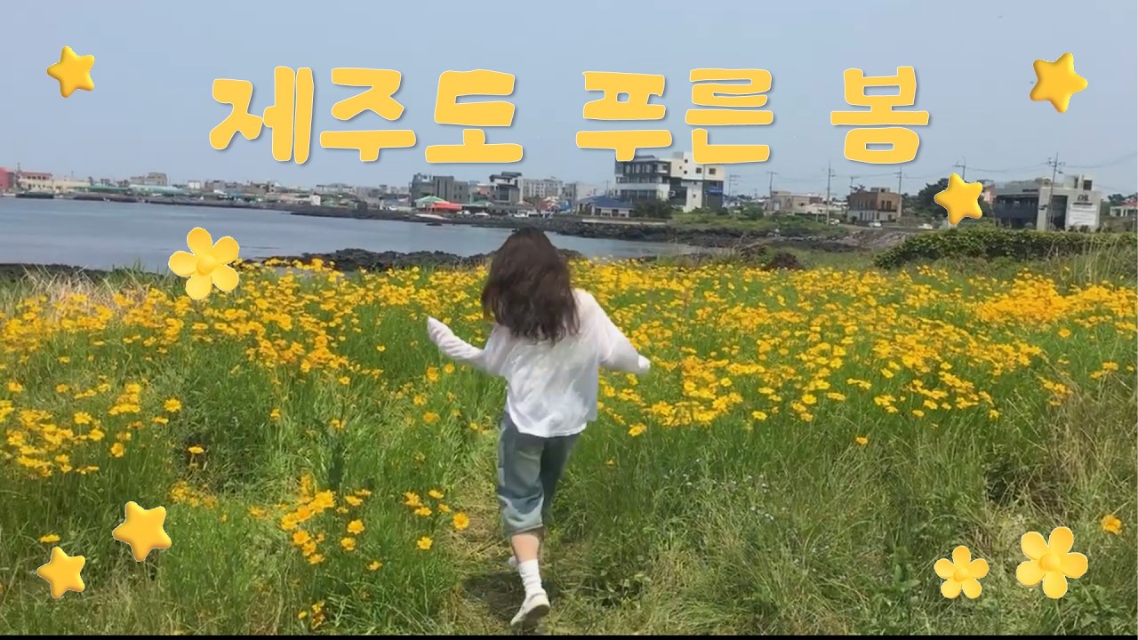 제주도의 푸른 봄💛 #제주여행