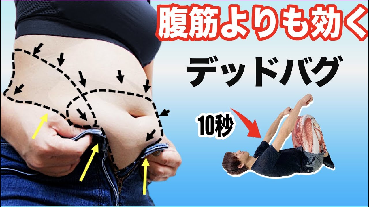 【たった10秒】下腹ぽっこりには腹筋よりもデッドバグ
