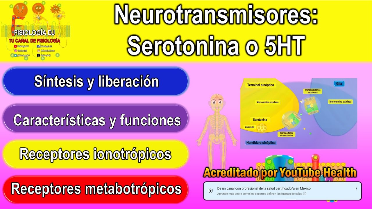 Neurotransmisores | Sistema nervioso central | Serotonina | Serotonina neurotransmisor