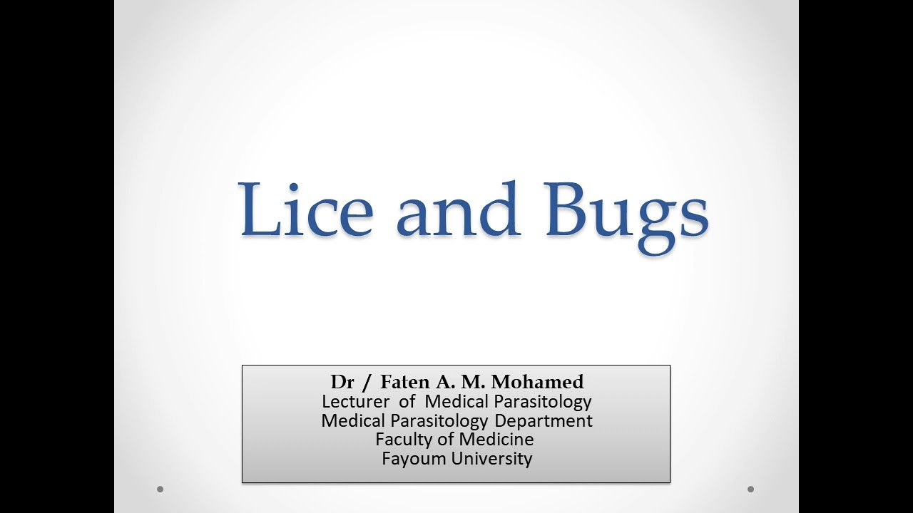 lice and bugs (rapid review)
