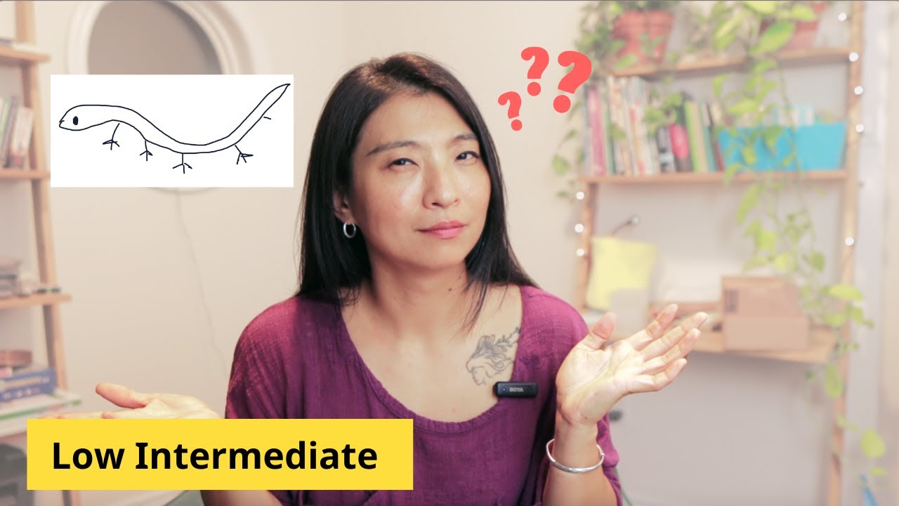 A Chinese idiom story - Low Intermediate (HSK2/3)