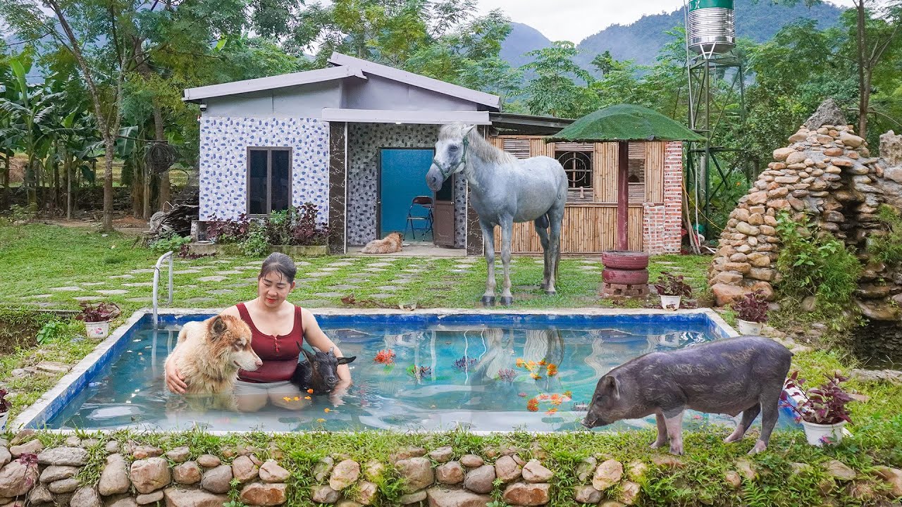 Repair and Clean the Swimming Pool and Swim With Horses, Goats, Pigs and Dogs - Ly Hieu Hieu