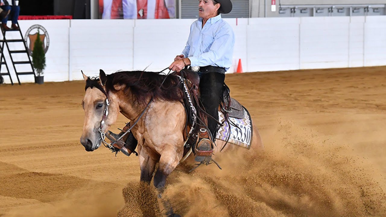 Your Killin MeSmalls -  2022 AQHA Gelding LTE $13,395 (by Shiners Voodoo Dr )
