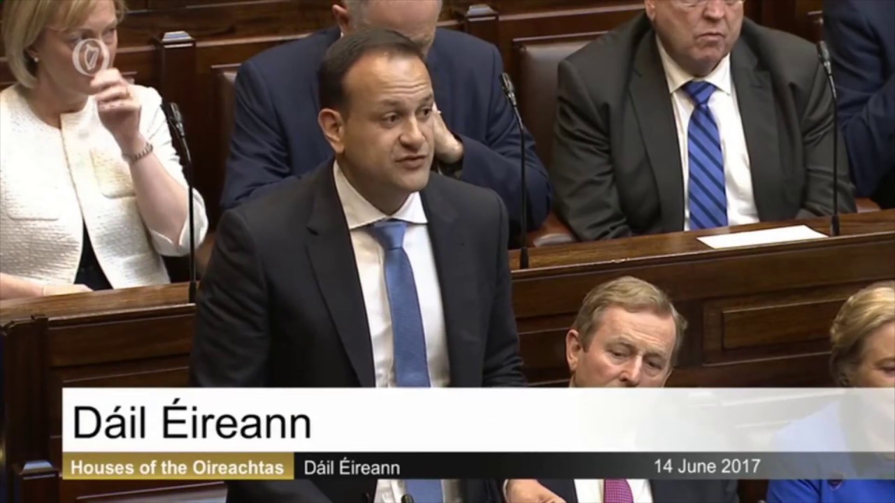 TheJournal.ie: Leo Varadkar's first speech as Taoiseach elect in full