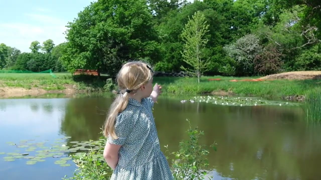 Gosfield School Pond Project