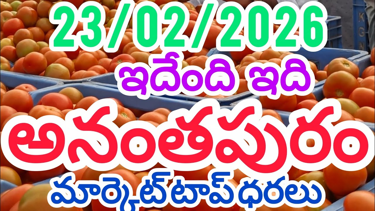 అనంతపురం టమోటా మార్కెట్ సూపర్ టాప్ ధరలు #price #rates #today #tomato #ananthapuram 