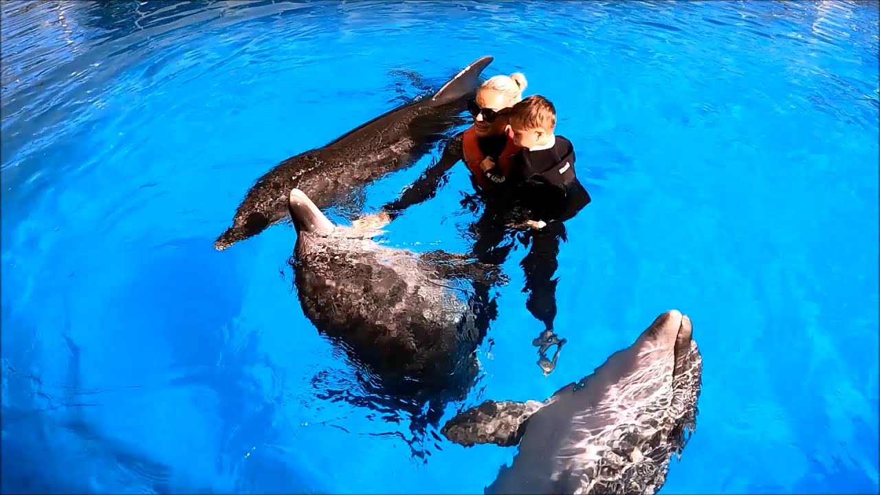 Delfintherapie T&uuml;rkei ( Sam )