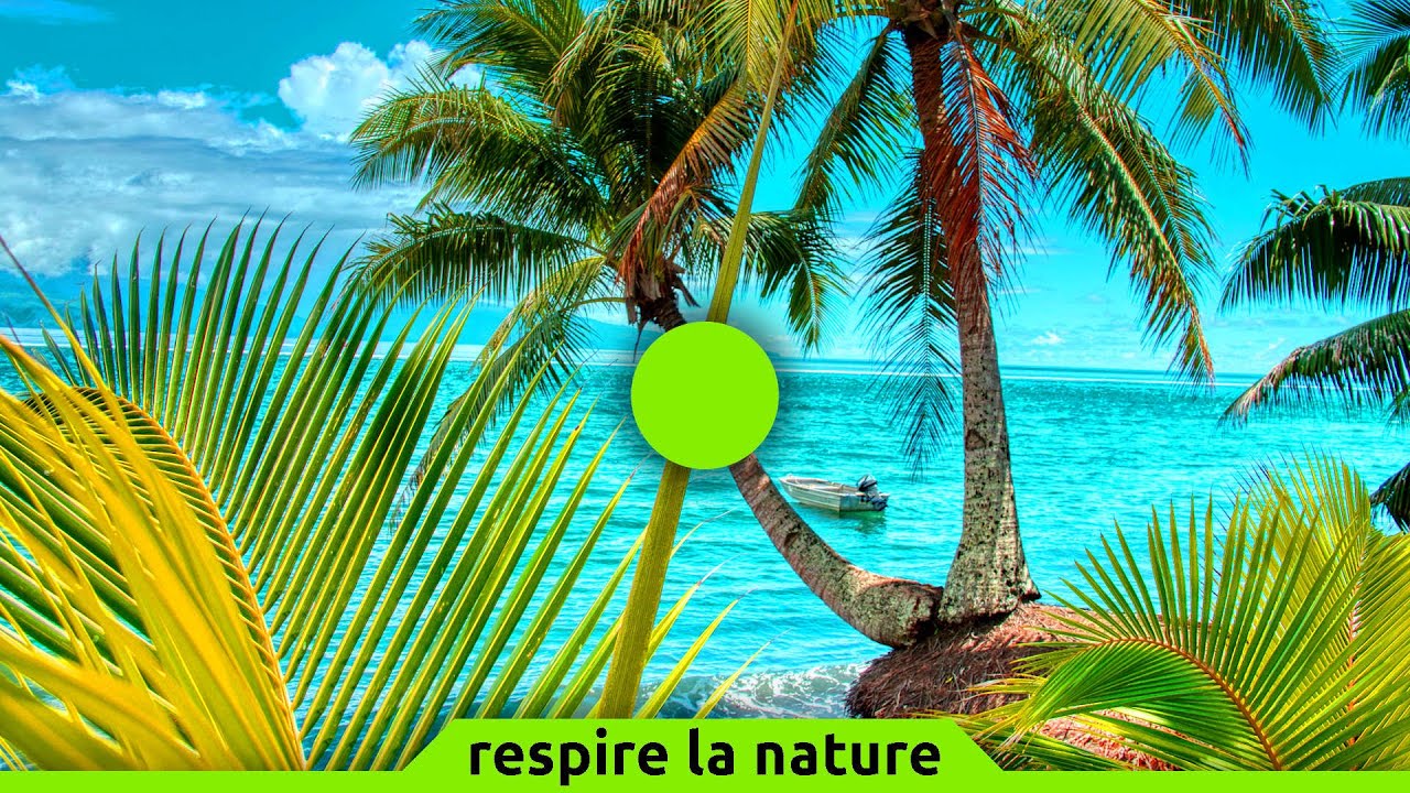 🟢 Cohérence cardiaque n°204 | îles | 5 min