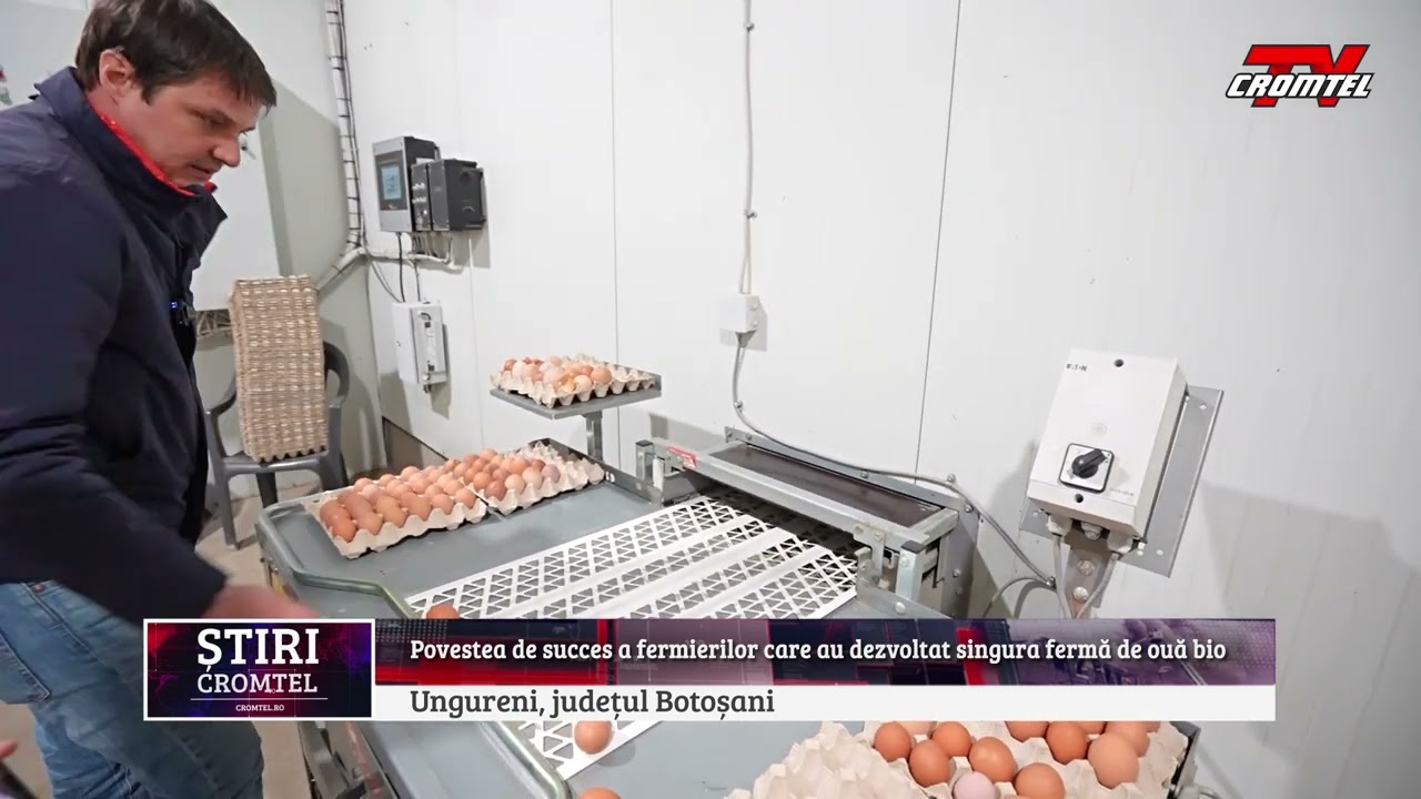Povestea de succes a fermierilor care au dezvoltat singura fermă de ouă bio din regiunea Moldovei