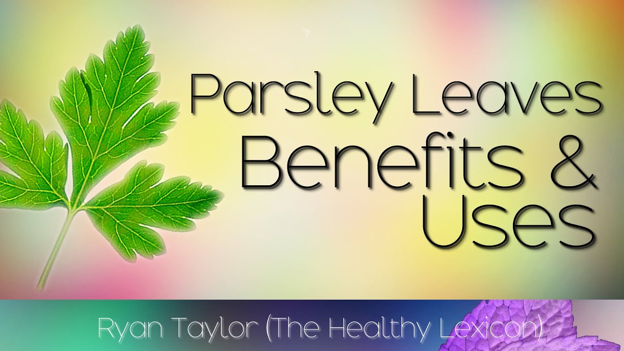 Parsley Leaves: Benefits and Uses