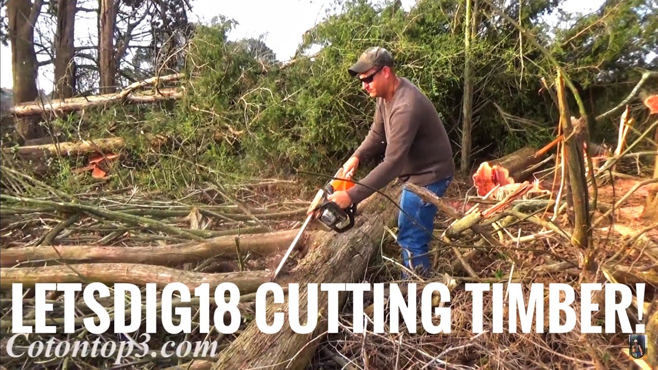 letsdig18  cutting timber! Part 1