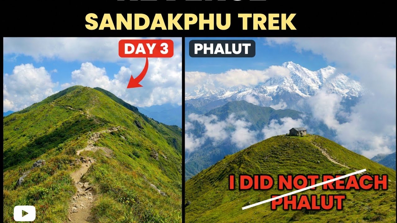 Reverse Sandakphu Trek Day 3 |Gorkhey to Phalut |Challenging কিন্তু সুন্দর #sandakphutrek #sandakphu