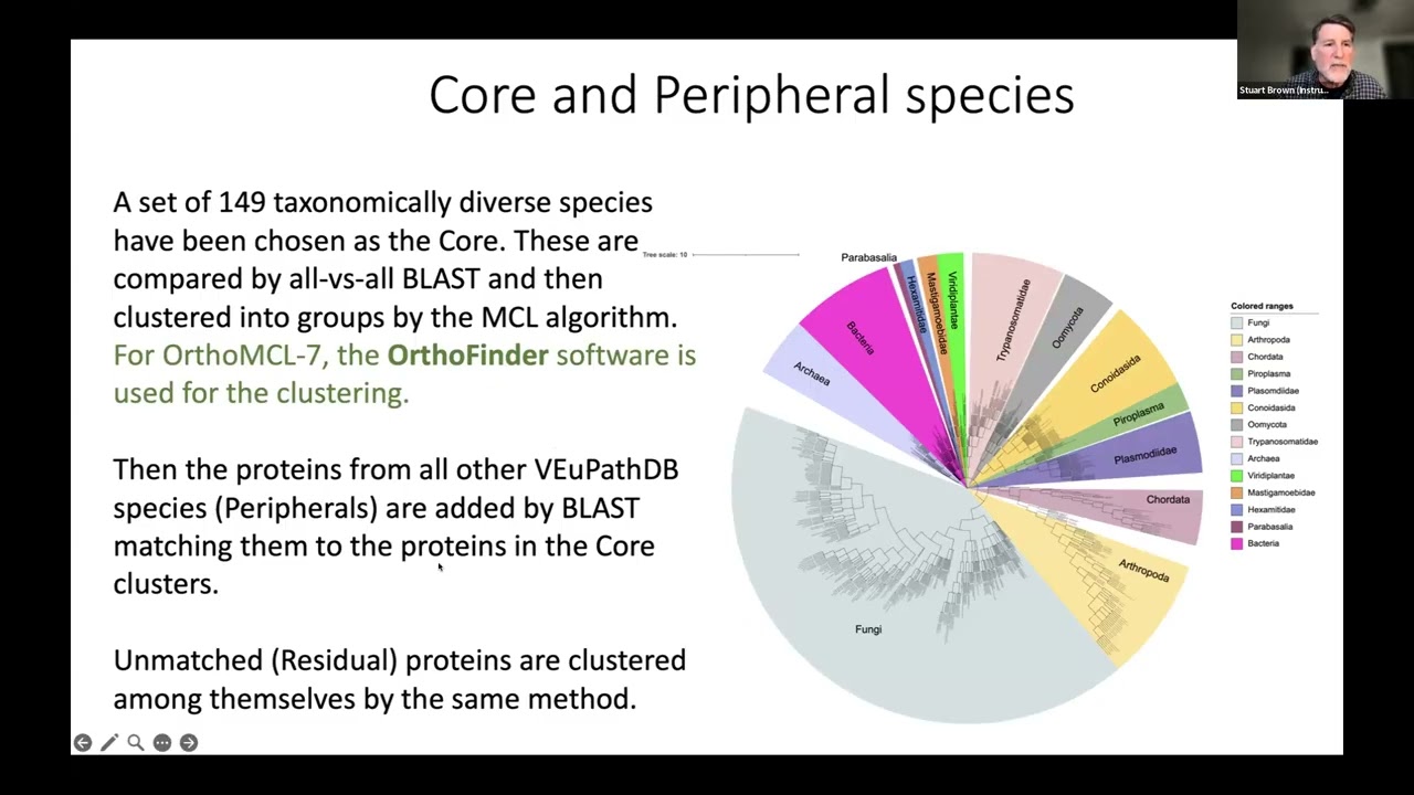 Orthology in VEuPathDB