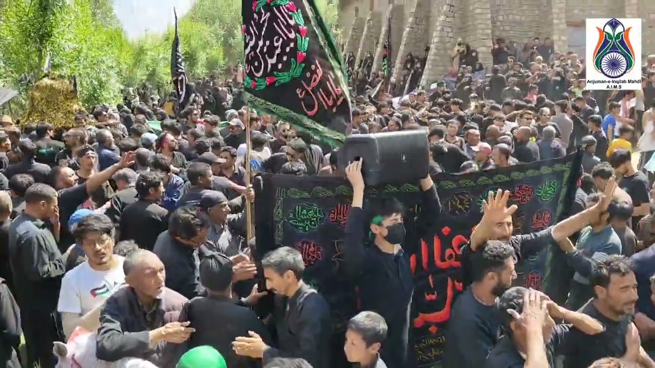 Julus-e-Aza Hussaini at Qatailgah Taisuru #AIMS 2025