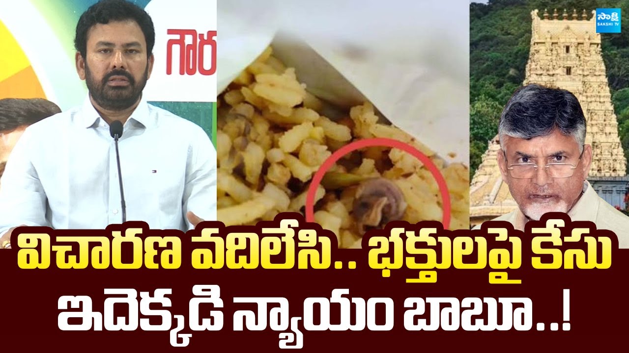 KK Raju Slams Chandrababu Over Snail In Simhachalam Prasadam | Pawan Kalyan @SakshiTVLIVE