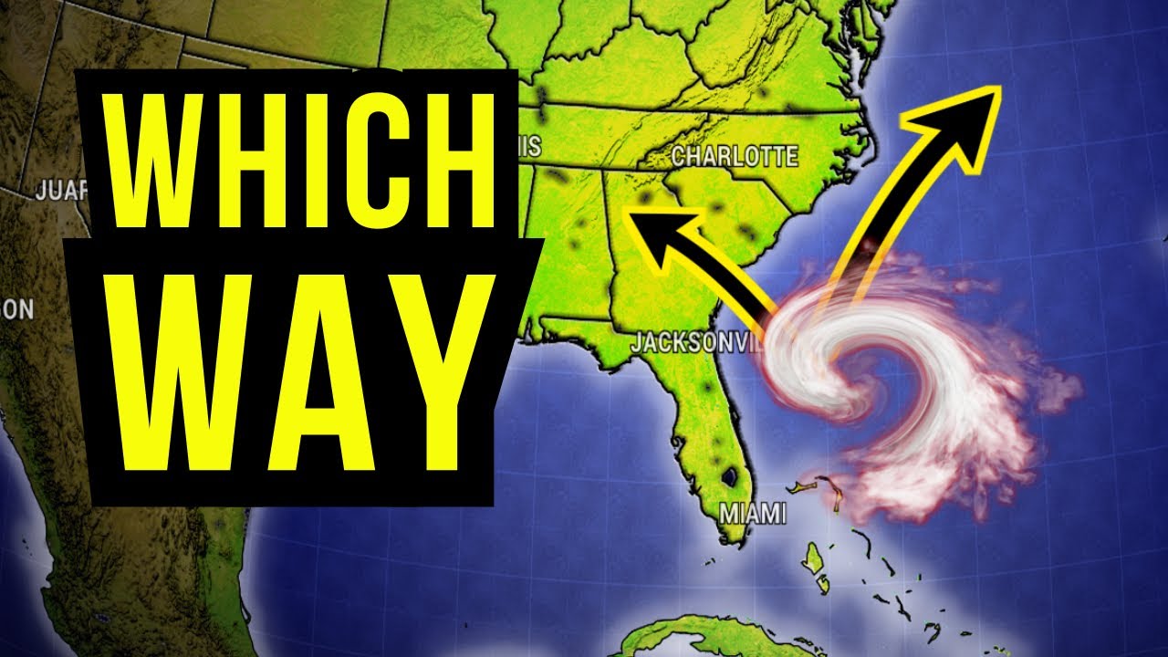 Tropical System Likely...