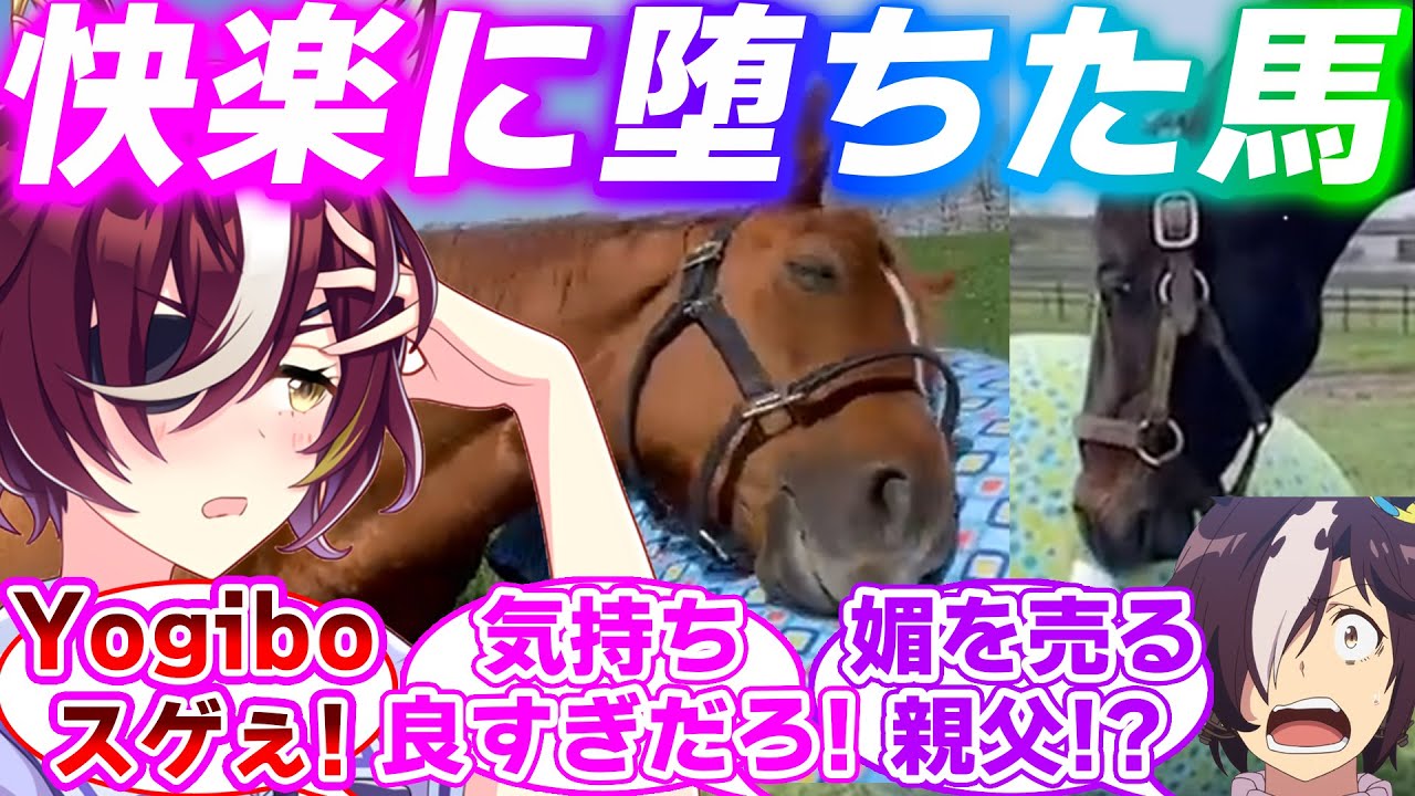 快楽に堕ちた顔が可愛い史実のアドマイヤジャパンとタニノギムレットに対するみんなの反応集【ウマ娘プリティーダービー】【Yogibo】