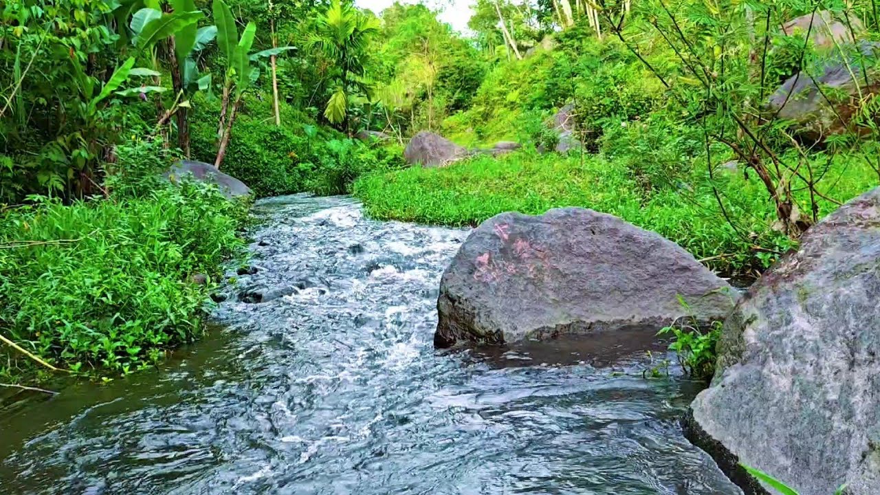 Deep Sleep with Tranquil River Water Sounds – Natural Sleep Sound to Calm Your Mind