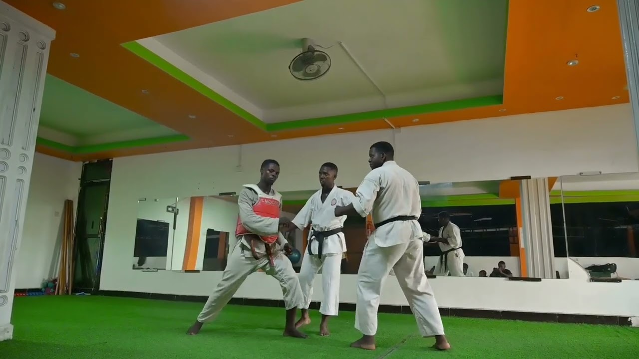 Ushiro Geri and Gyaku zuki lesson by Sensei Miraji