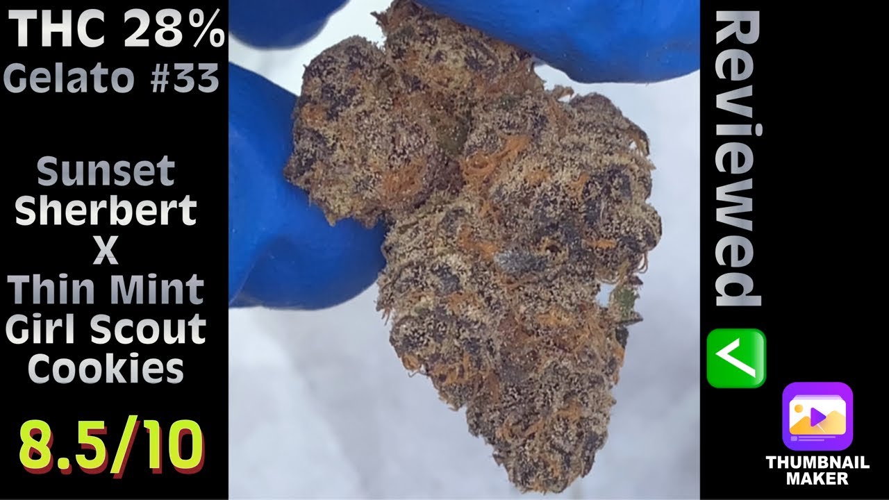 Strain Review: Gelato #33 (North Country Pharms) #2