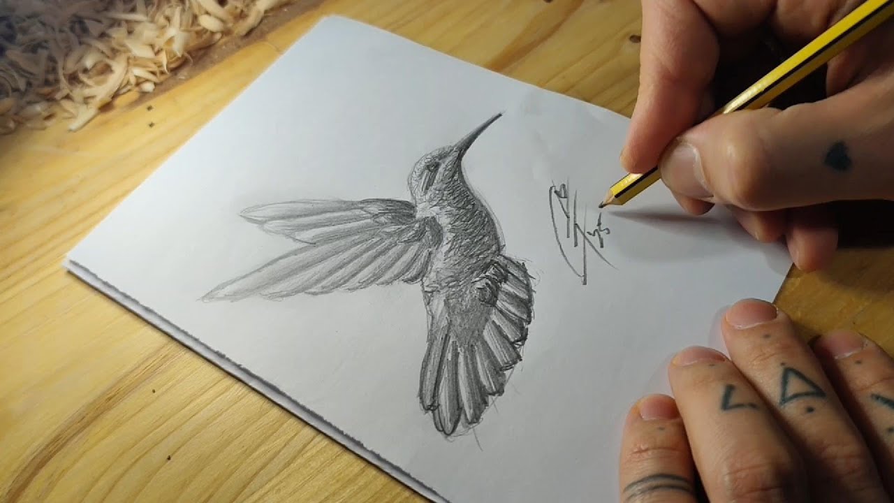 POV: Dibujar pájaro / colibrí