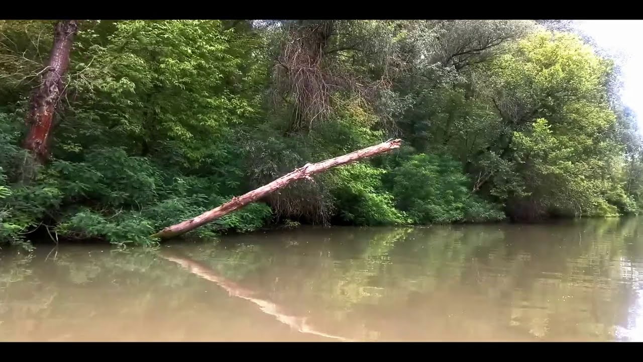 Tisza-tavi túra.