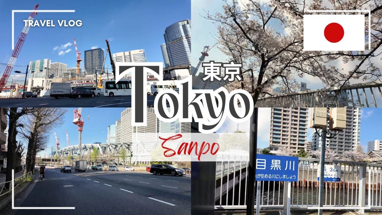 🌄 A stroll through Minato Ward, Tokyo 🌸🏙️ 東京の港区散歩🌸🏙️ #tokyo #japantravel #vlog