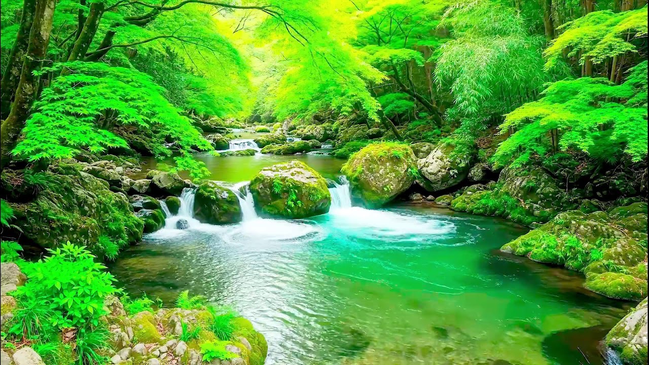 White Noise River Sound for Deep Sleep Flow with Forest Sound and Anxiety Relief