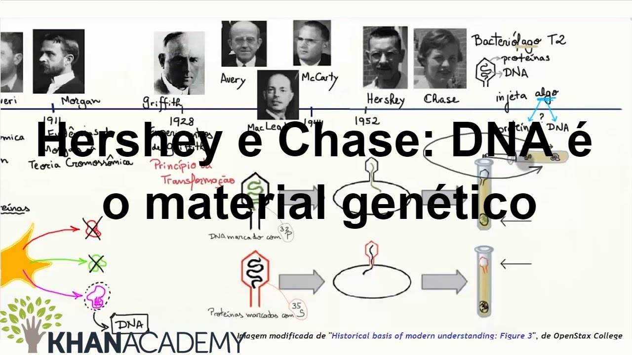 Hershey e Chase: DNA é o material genético | DNA como o material genérico | Biologia | Khan Academy