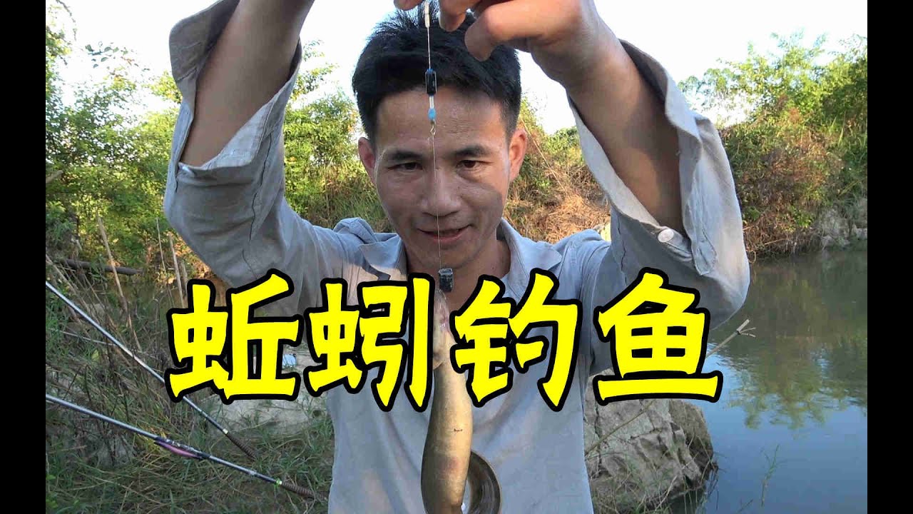野河用蚯蚓钓鱼有多牛？80一斤靓货一条接一条，两根鱼竿忙不过来【壮乡小莫】
