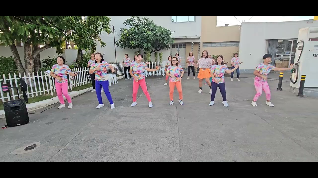 Malasin zumba ladies