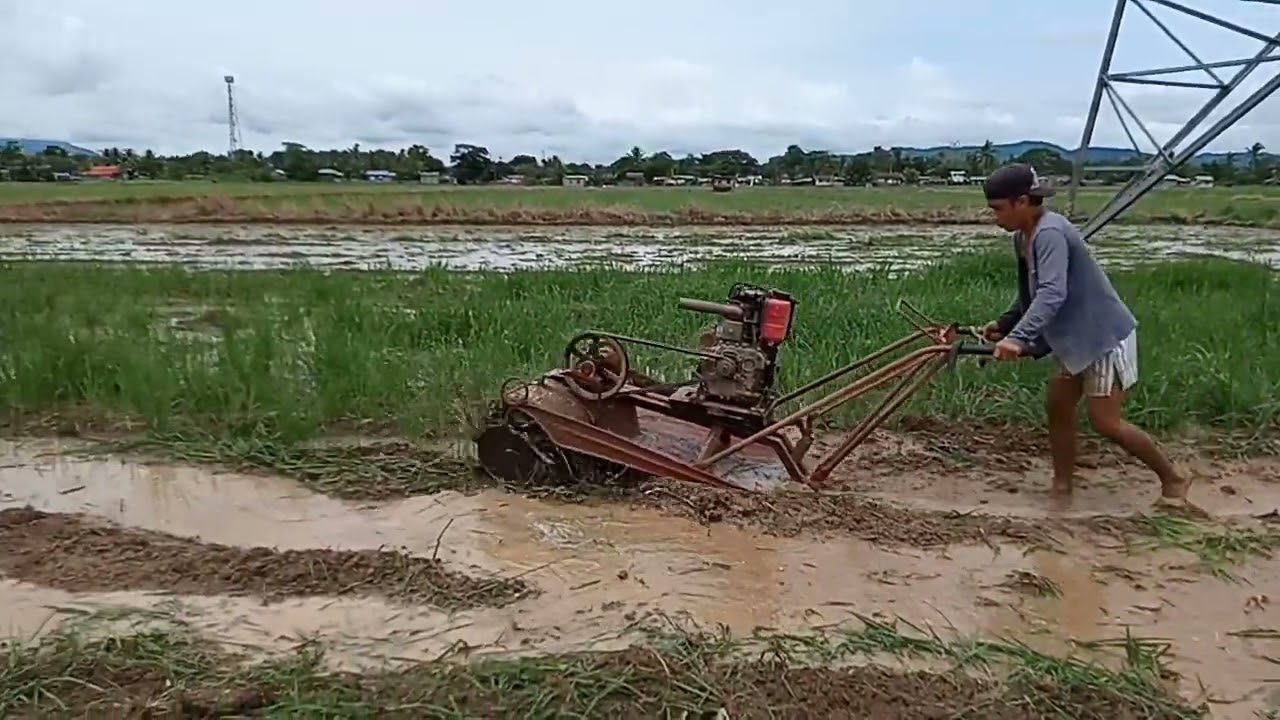 Turtle Power Tiller | Grass,Weed destroyer in rice field land prep