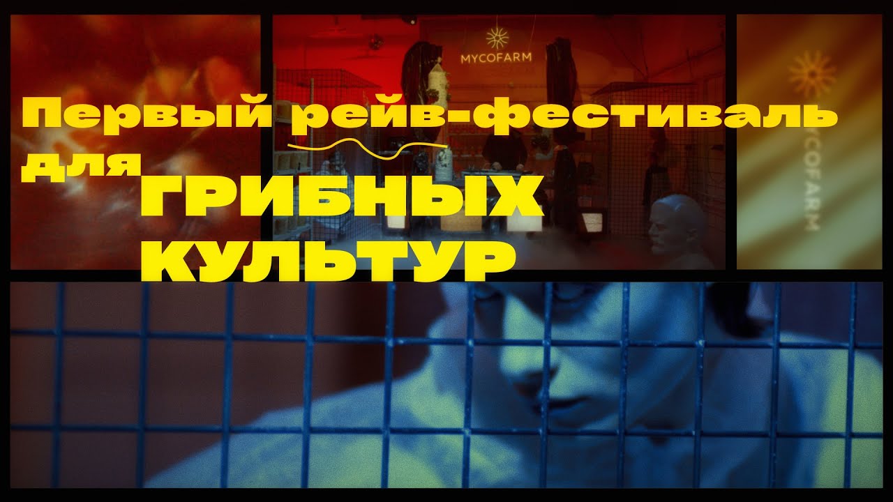 Первый Рейв-Фестиваль Для Грибных Культур