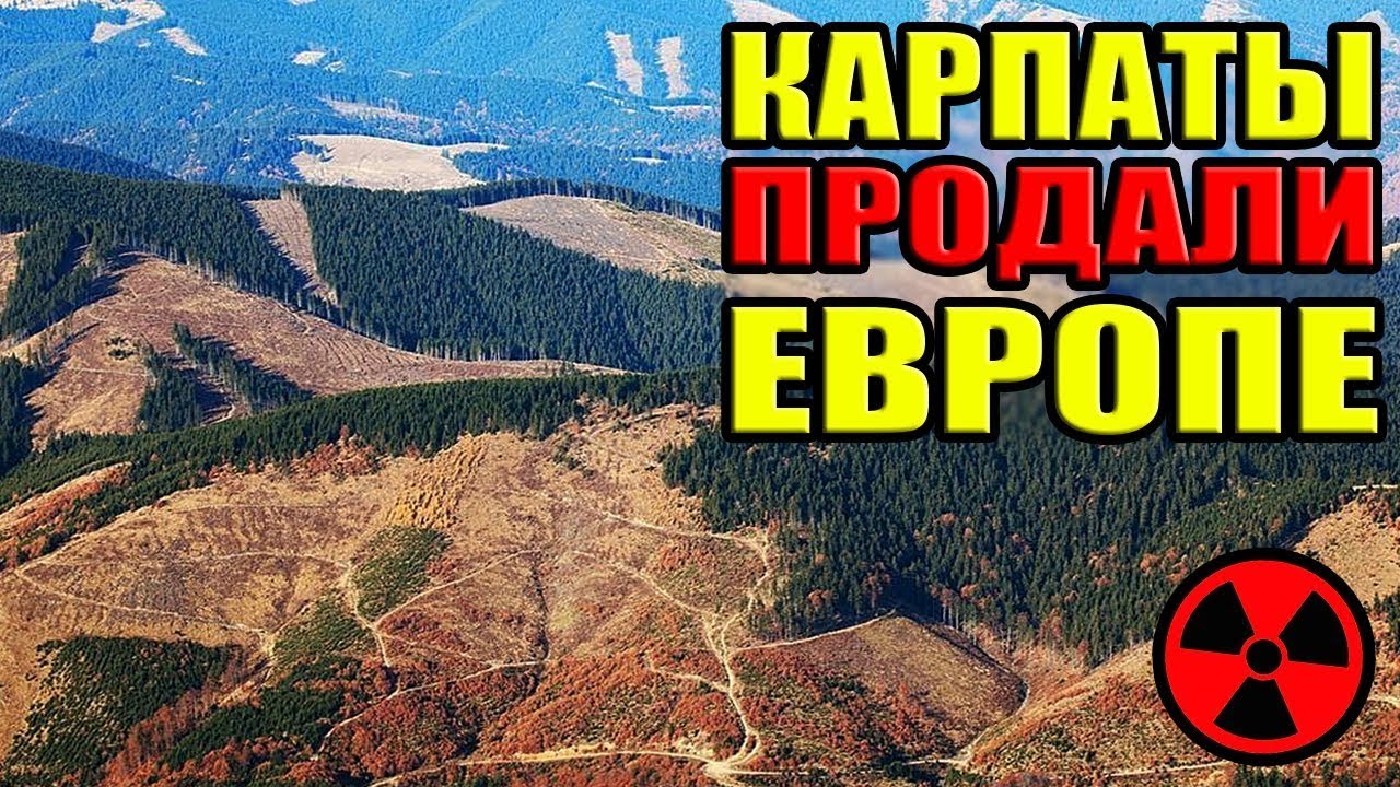 Массовая вырубка Карпатских лесов