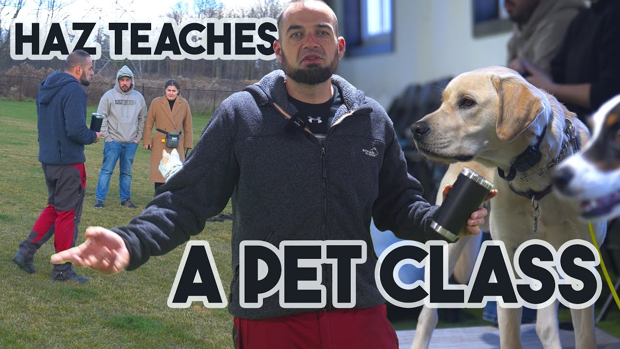 Haz Teaching a Pet Obedience Class - E Collar Training