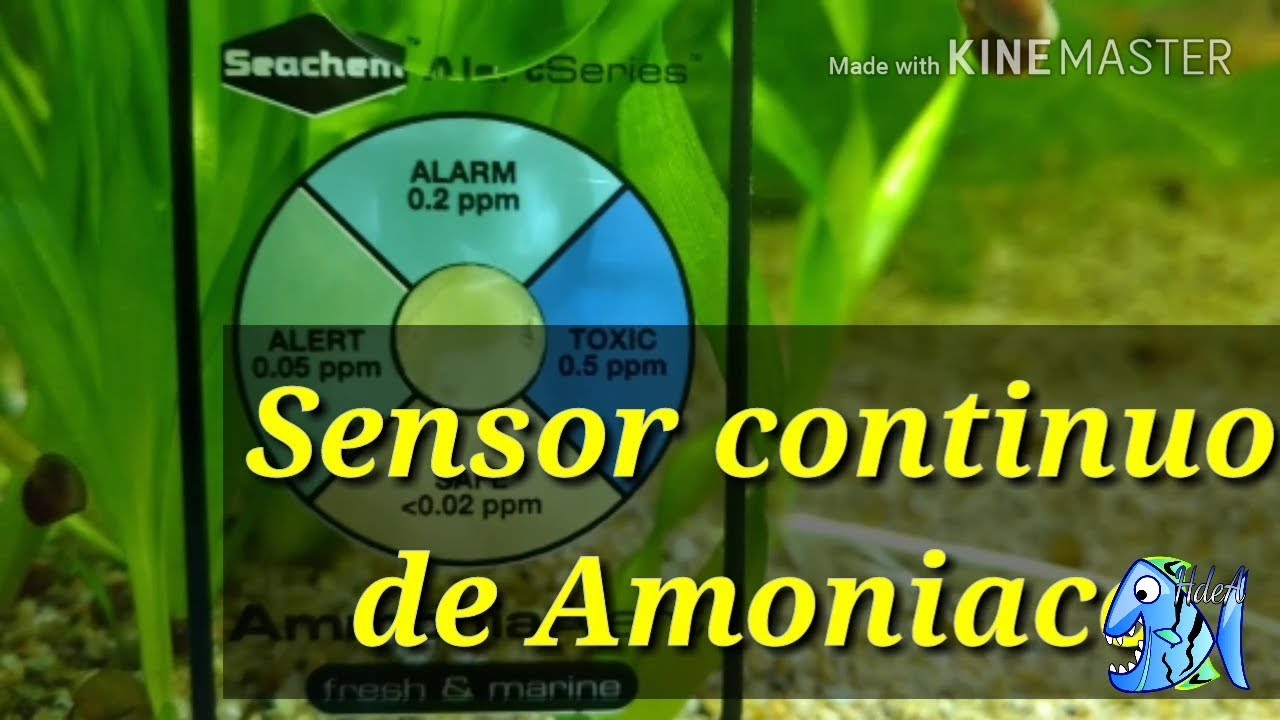 Sensor continuo de Amoniaco