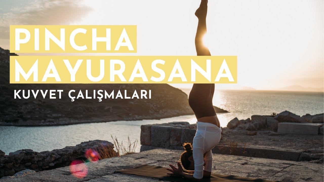 Pincha Mayurasana (Önkol Dengesi) ~ Kuvvet Çalışmaları ~ Orta/İleri Seviye
